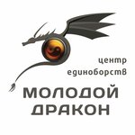 Логотип Центр восточных единоборств «Дракон» на Первомайской